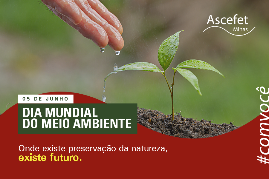 Dia Mundial do Meio Ambiente