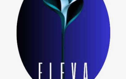 Eleva Empreendimentos